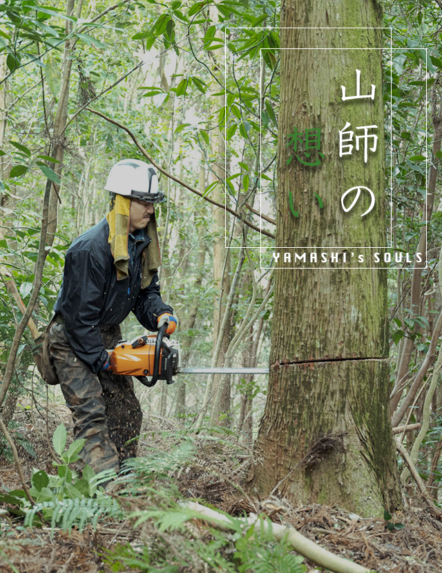 株式会社山崎総業は宮崎で林業を営む会社です ｜ 求人募集中！